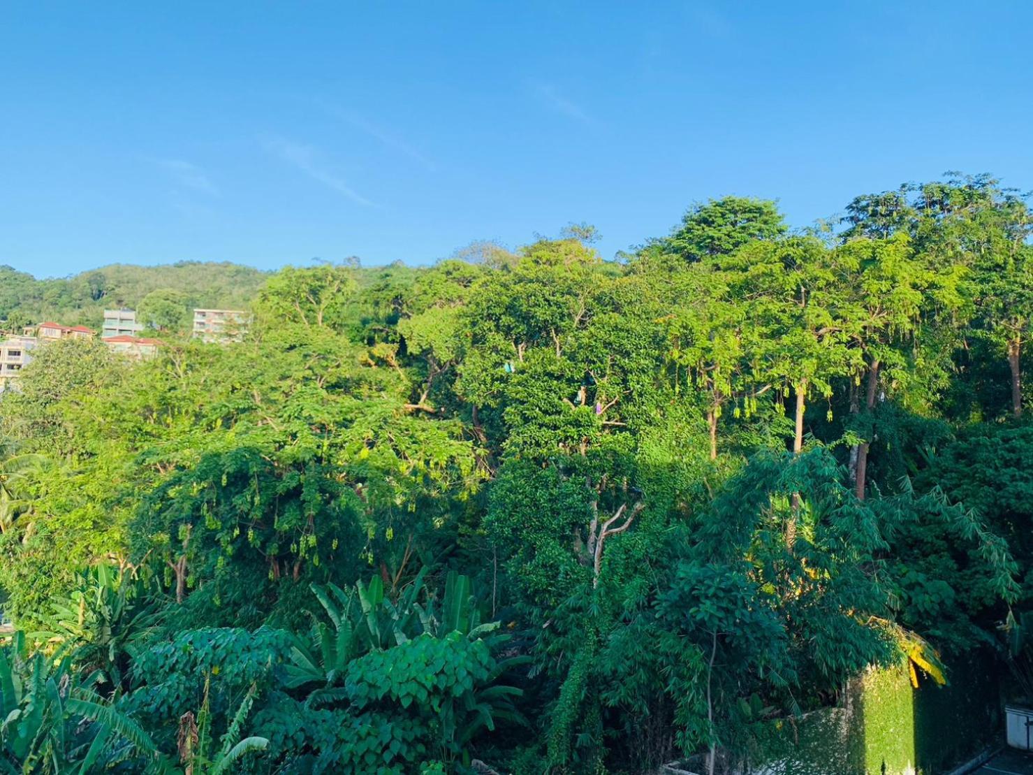 Khách sạn Ocean View Treasure Patong